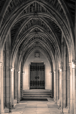 Duke University