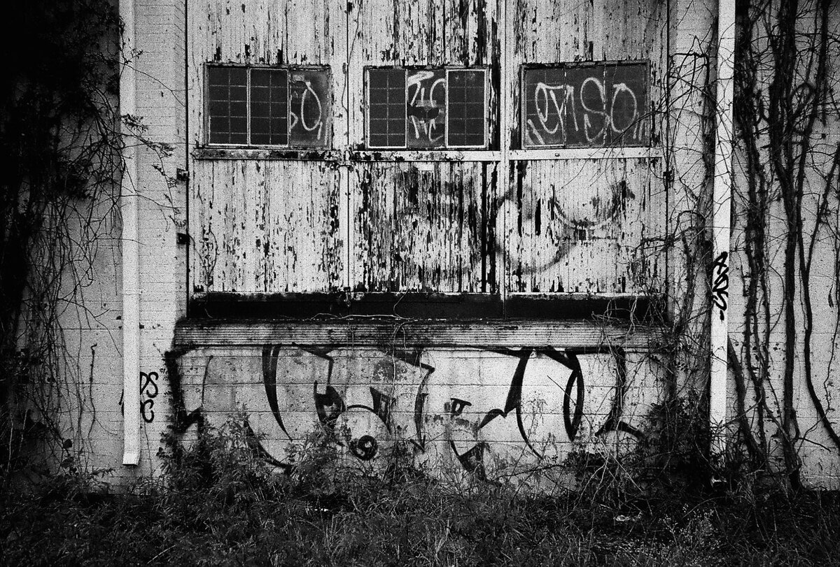 Tagged and Overgrown