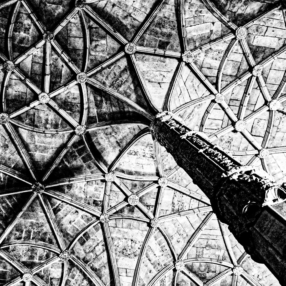 Vaulted Ceiling