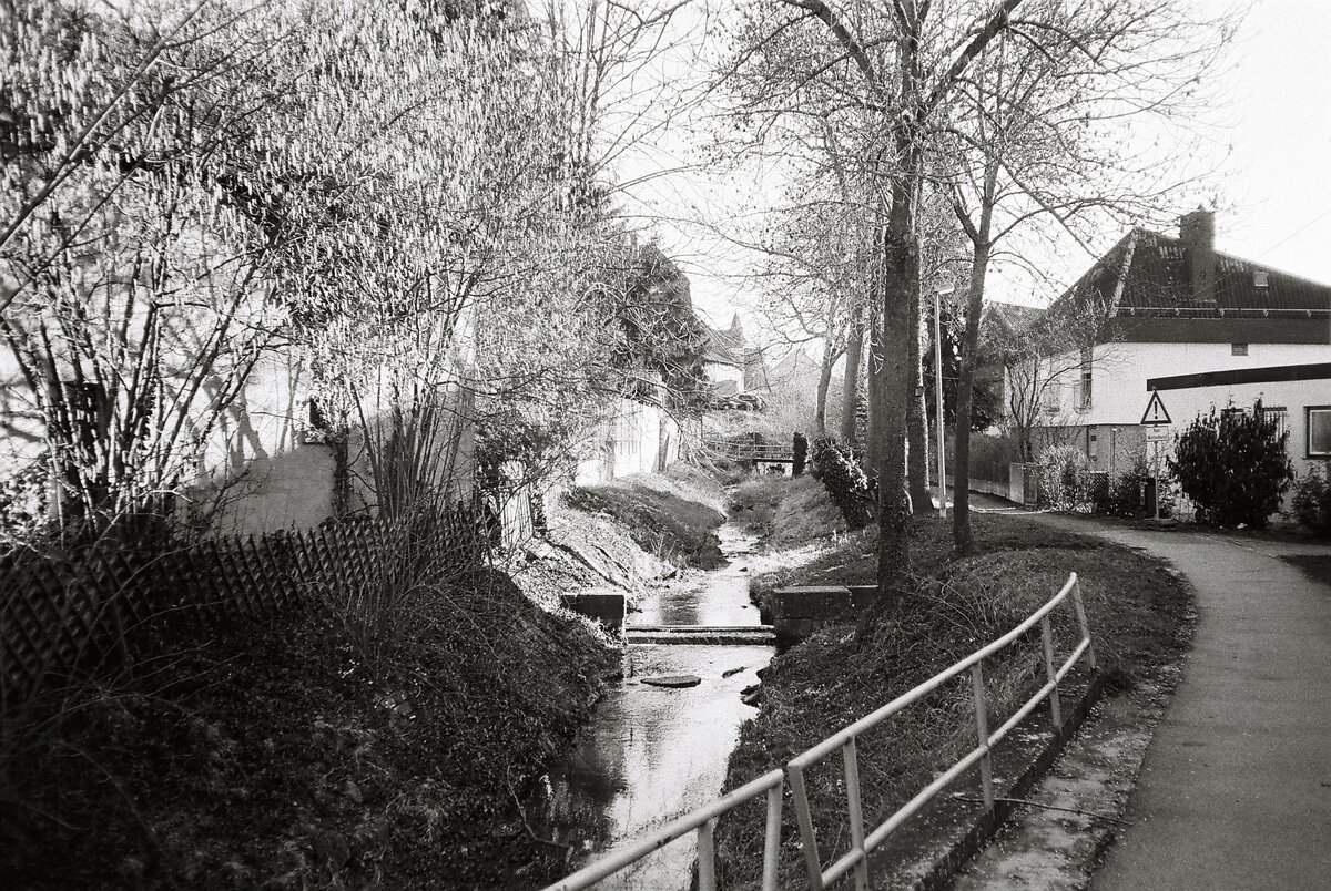 Village Creek at Dusk