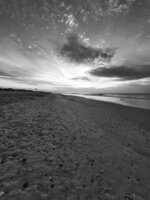 Liquid Sunset
