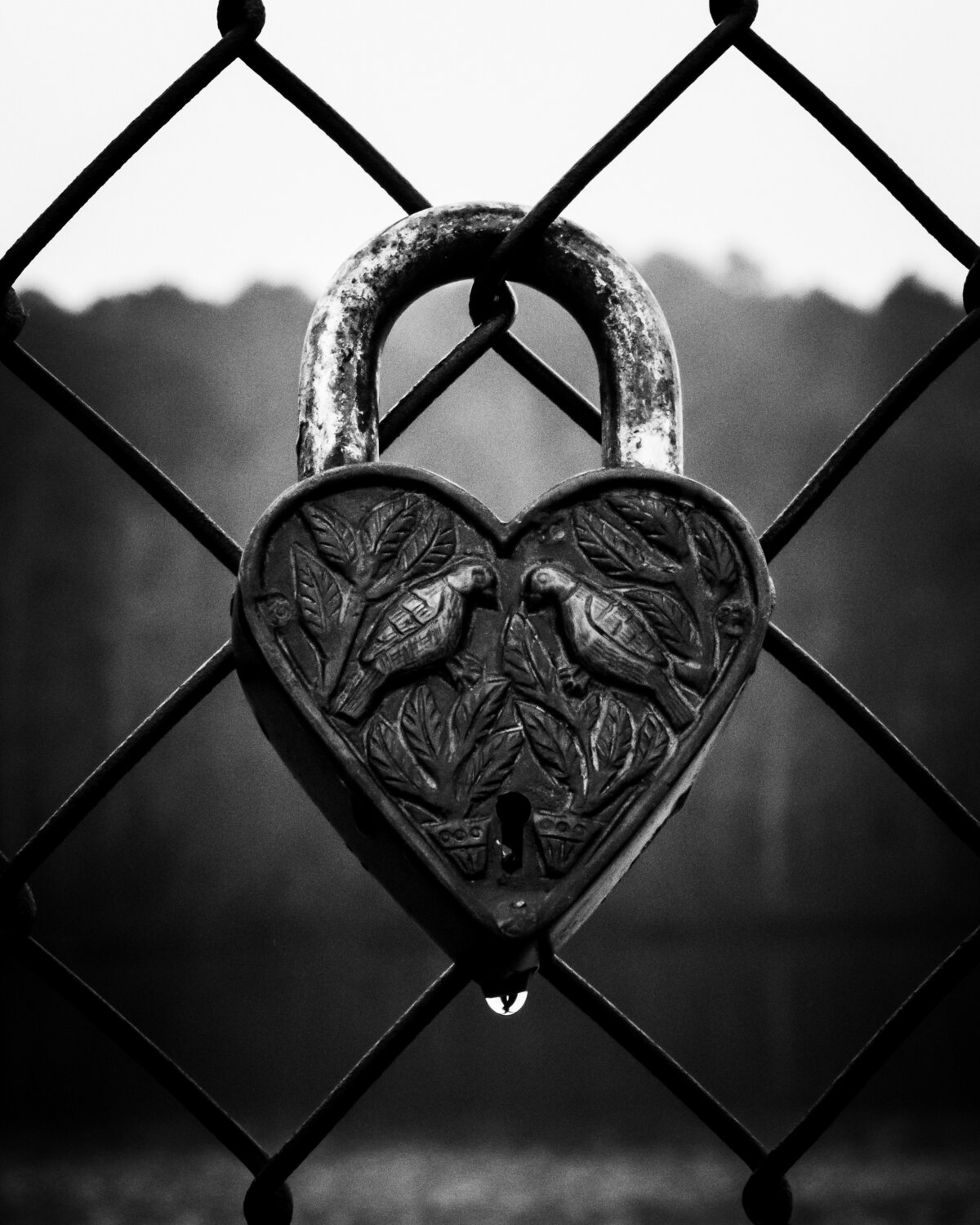Love Locked