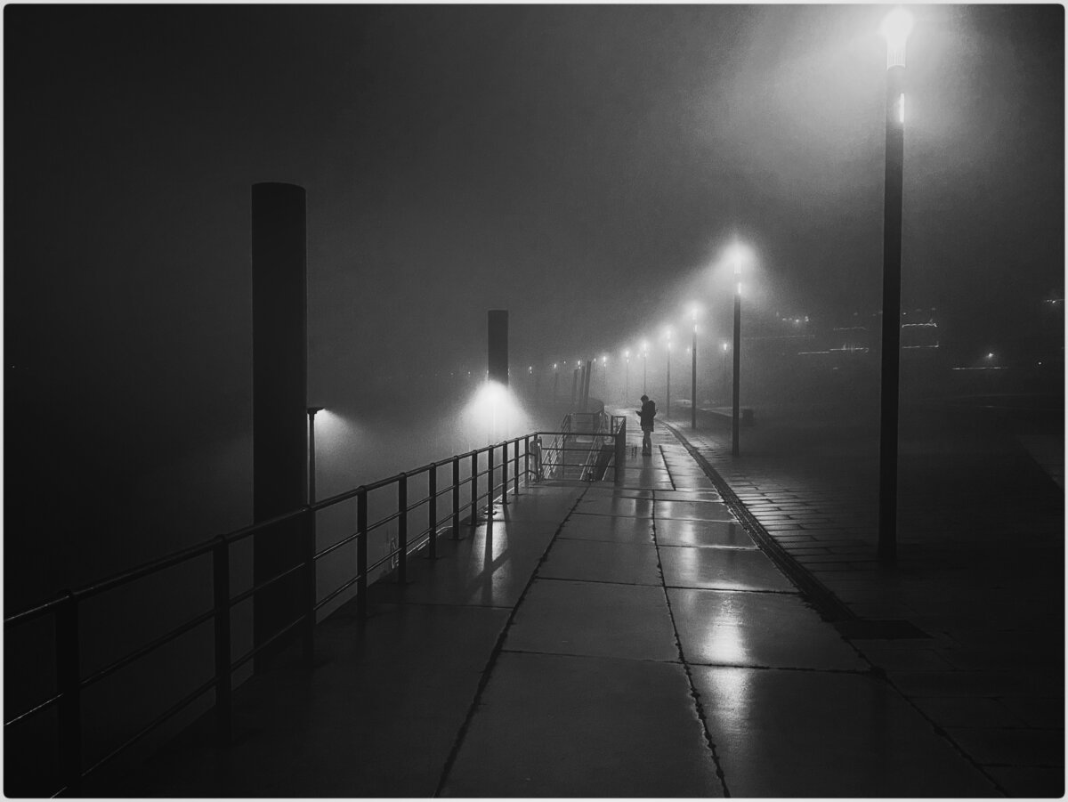 Stranger In The Night